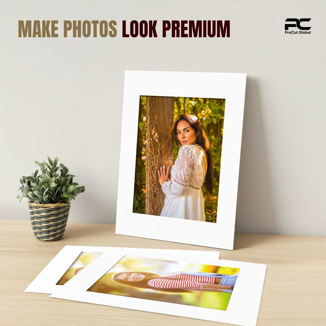 Ice White A1 Picture Mount With A2 Aperture | Acid-Free Picture Mount Board thumbnail 2