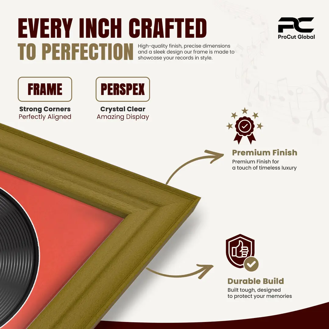 25x17" Classic Gold Vinyl Record Frame For 12 Inch LP Cover & Disc With Poppy Red Mount | Overlapped Vinyl Display thumbnail 7