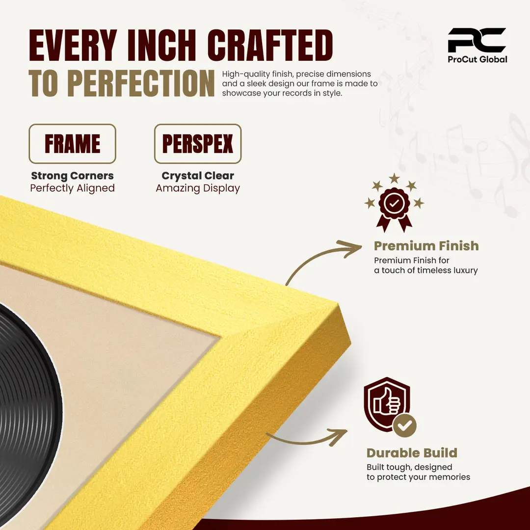 30x17" Modern Sleek Gold Vinyl Record Frame With Poppy Red Mount | Side by Side 12" LP Cover & Disc Display thumbnail 7