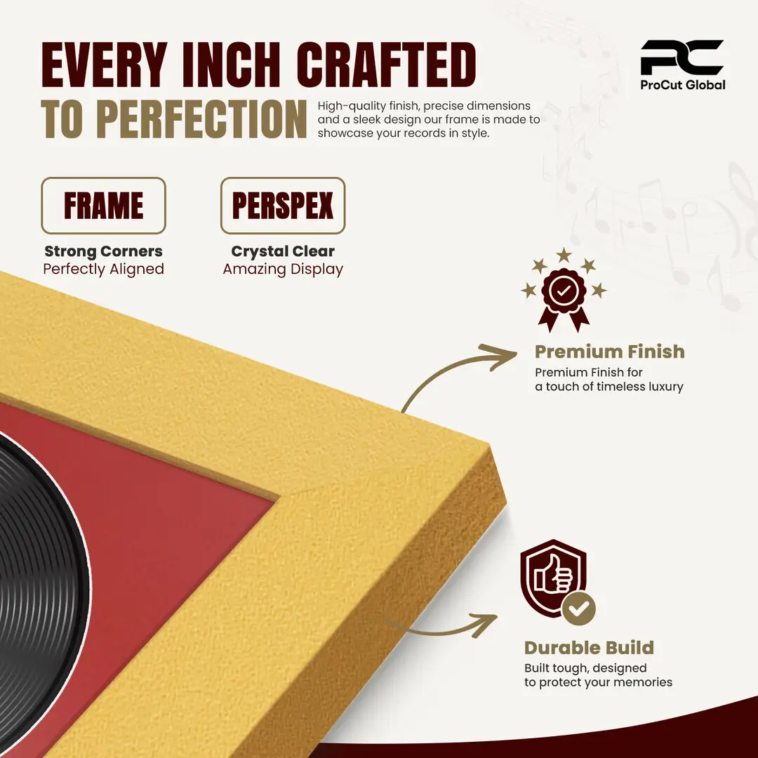 16x16" Modern Gold Vinyl Record Frame With Crimson Mount For 12" LP Discs | Contemporary Wall Display thumbnail 7