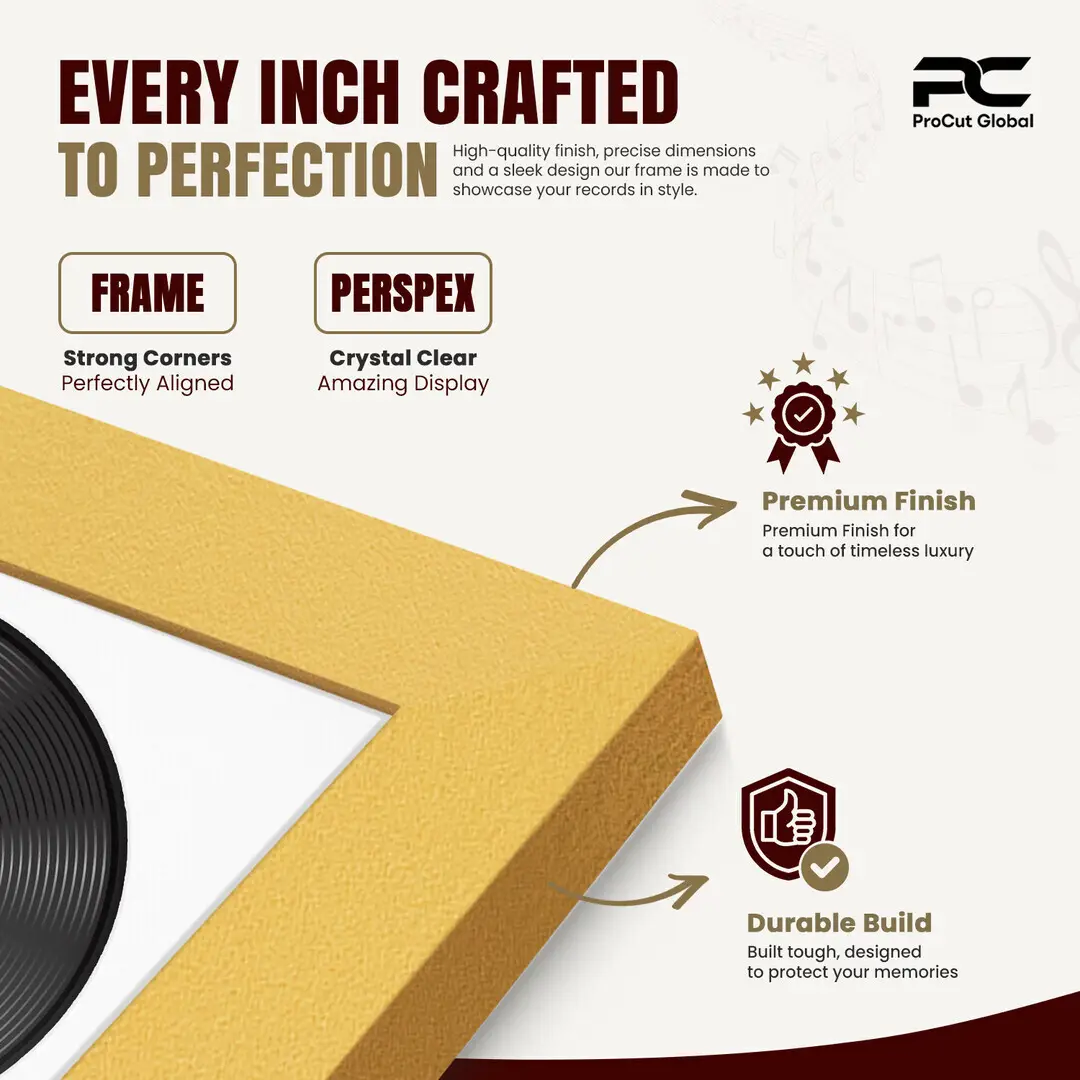 25x17" Modern Gold Vinyl Record Frame For 12 Inch LP Cover & Disc With Ice White Mount | Overlapped Vinyl Display thumbnail 7