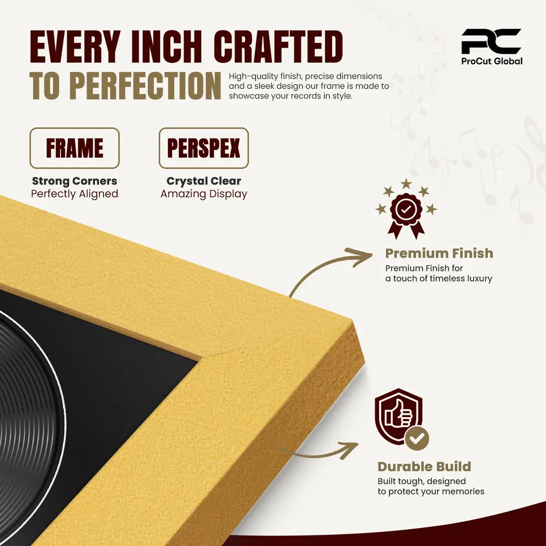 30x17" Modern Gold Vinyl Record Frame With Black Mount | Displays 12" LP Cover & Disc Side by Side thumbnail 7