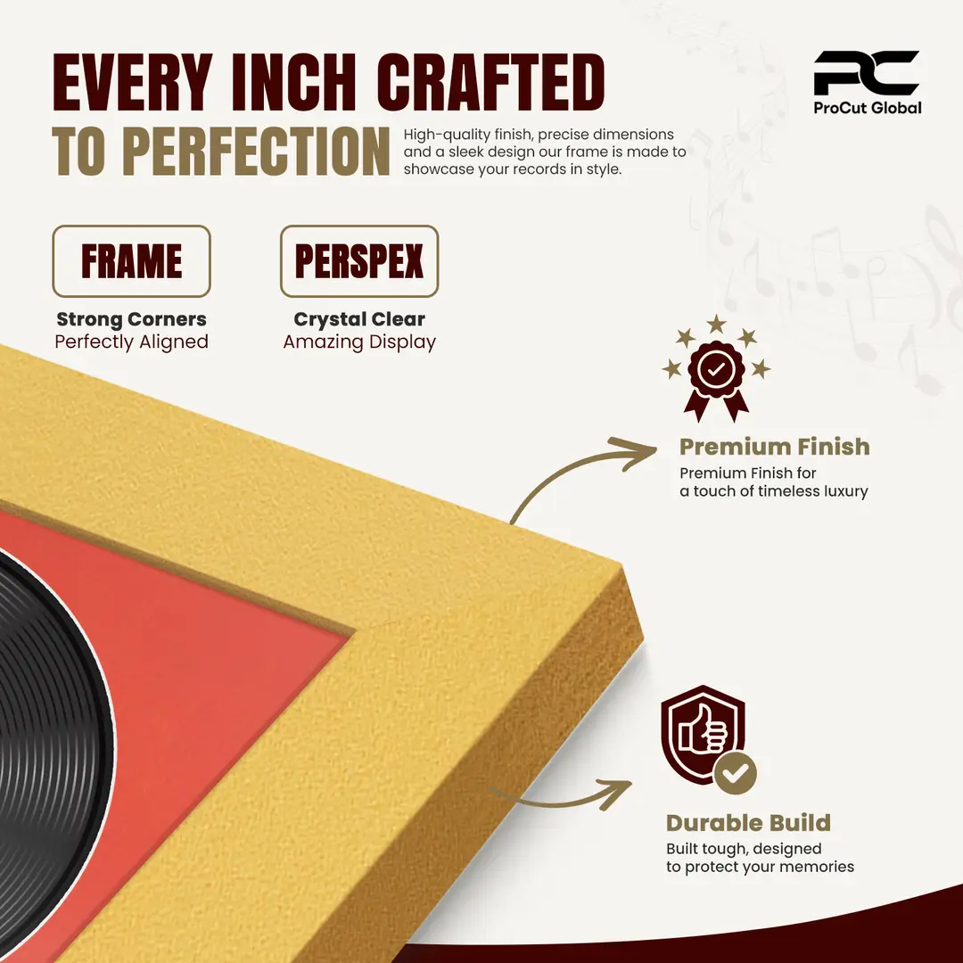 30x17" Modern Gold Vinyl Record Frame With Poppy Red Mount | Side by Side 12" LP Cover & Disc Display thumbnail 7