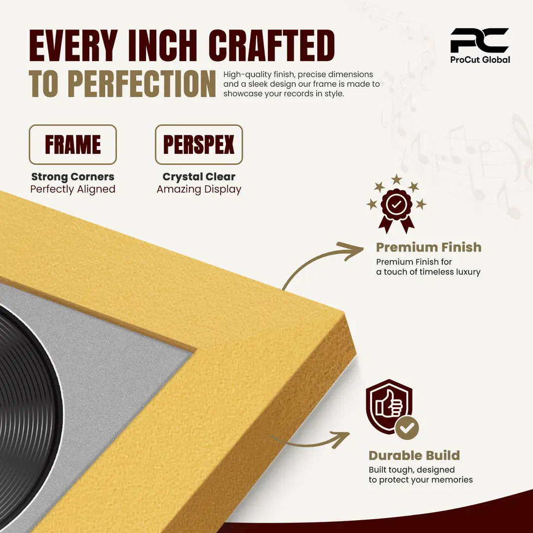 30x17" Modern Gold Vinyl Record Frame With Silver Mount | Displays 12" LP Cover & Disc Side by Side thumbnail 7
