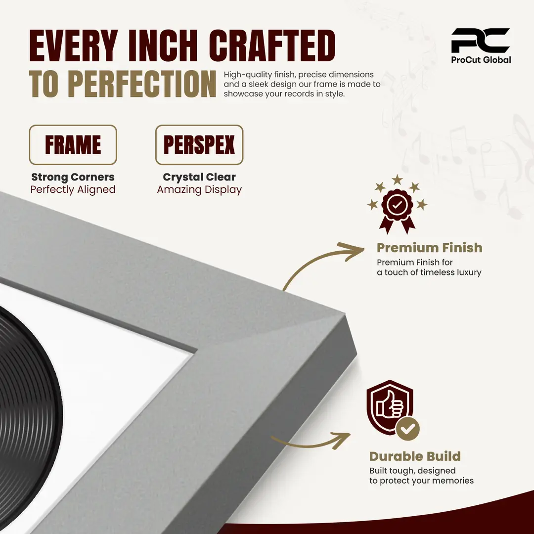 30x17" Modern Silver Vinyl Record Frame With Ice White Mount | Side by Side 12" LP Cover & Disc Display thumbnail 7