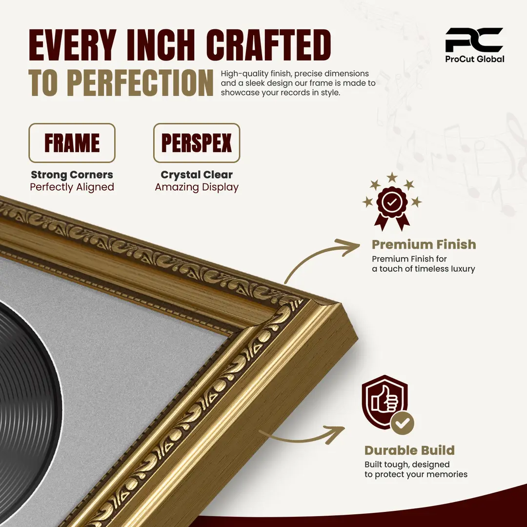 30x17" Gold Ornate Vinyl Record Frame With Silver Mount | Side By Side Vintage LP Cover and Disc Display thumbnail 7